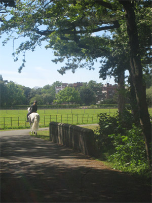 Riding in Croxteth Country Park